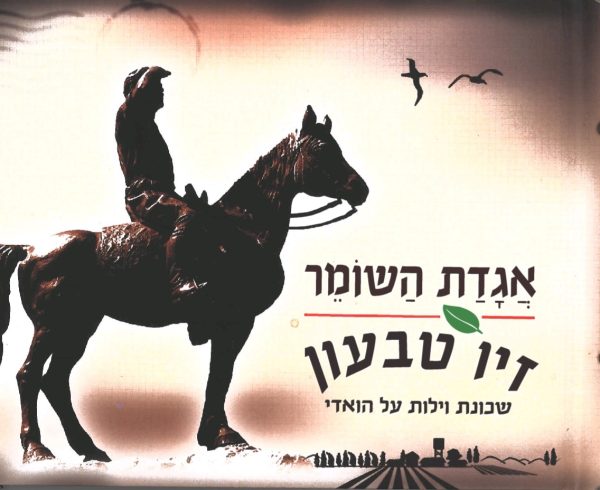 זיו טבעון