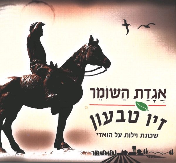 זיו טבעון